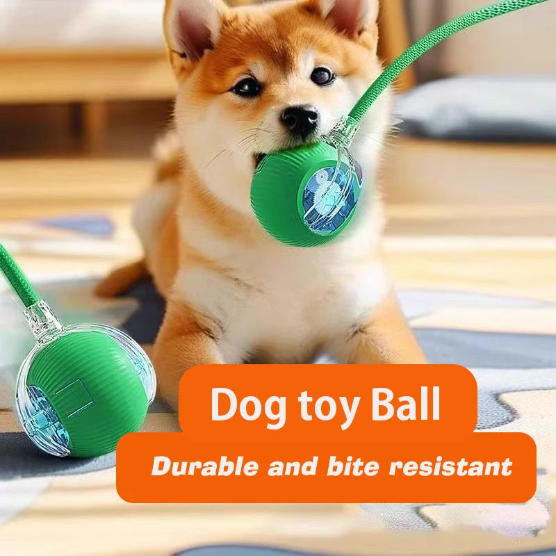 Automatic Interactive Dog Ball Toy – Rechargeable Smart Play