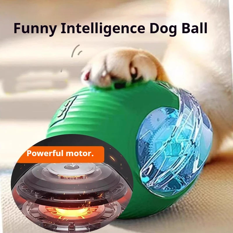 Automatic Interactive Dog Ball Toy – Rechargeable Smart Play