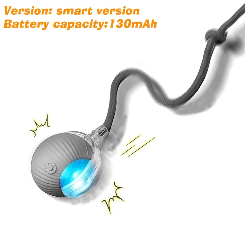 Gray Tail Ball Color Automatic Interactive Dog Ball Toy – Rechargeable Smart Play