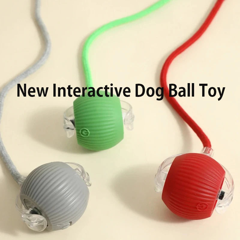 Automatic Interactive Dog Ball Toy – Rechargeable Smart Play